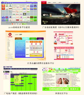 企業信息管理軟件定制與信息系統運行維護服務 構建智慧化企業運營的雙重支撐